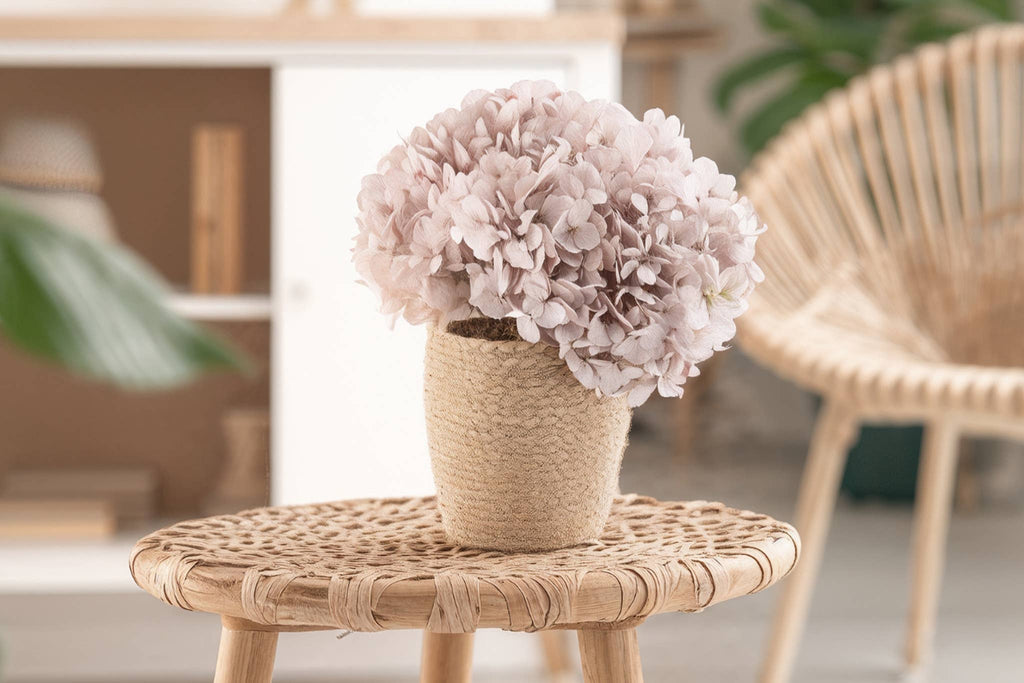 Stabiliseret hortensia - Stort udvalg af farver: Gul