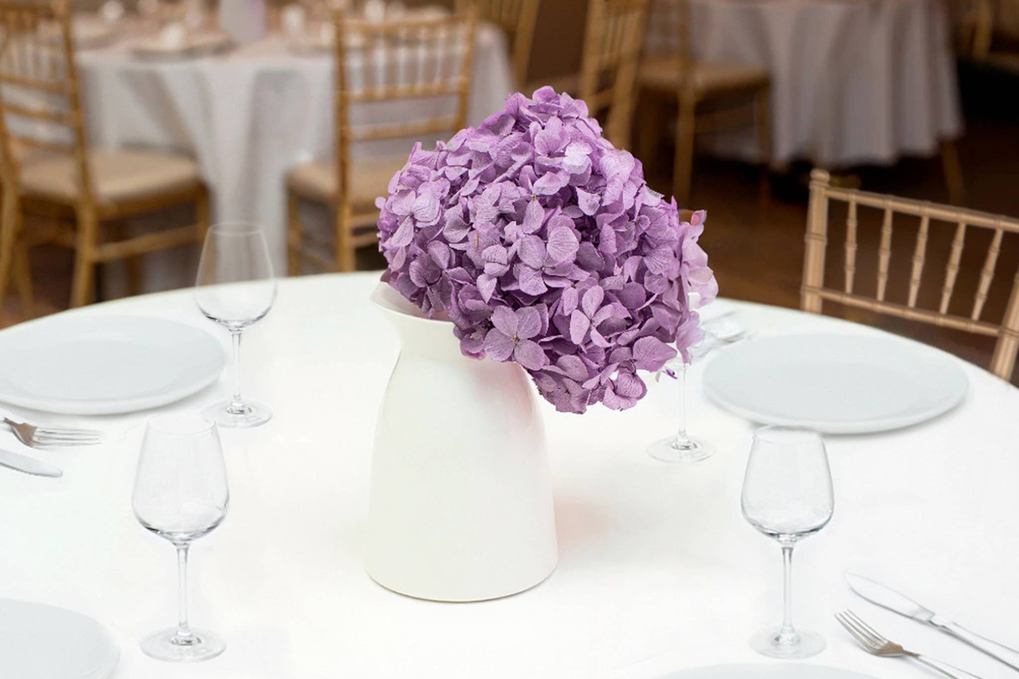 Stabiliseret hortensia - Stort udvalg af farver: Lavendel
