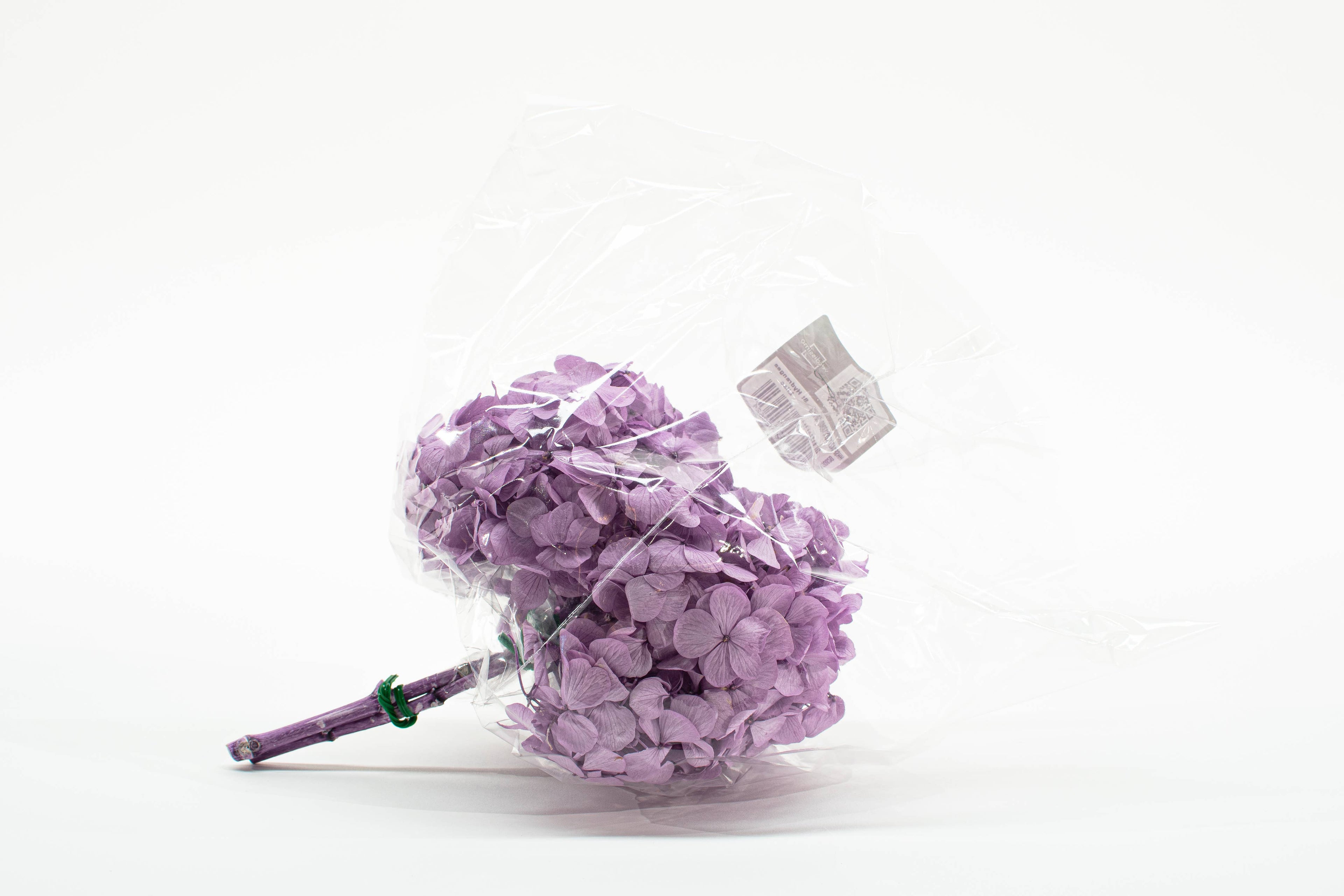Stabiliseret hortensia - Stort udvalg af farver: Lavendel